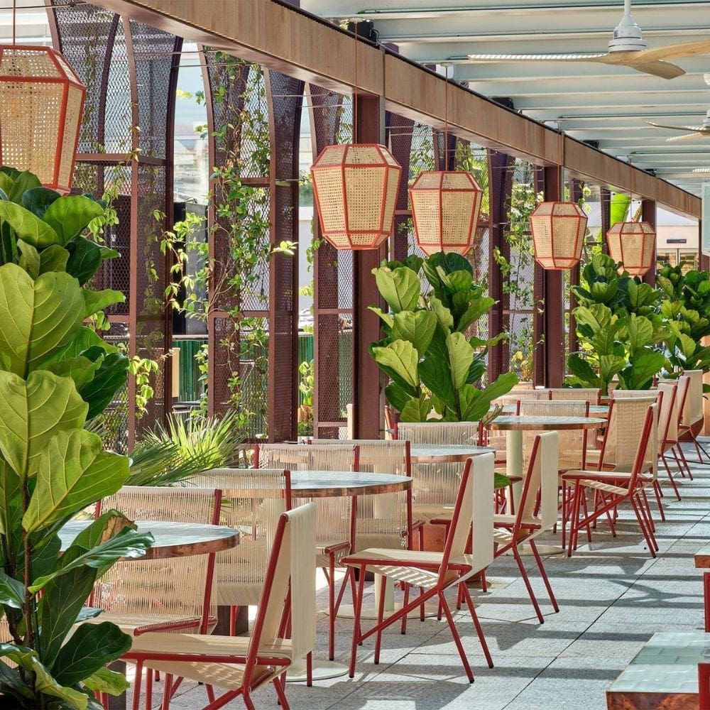 Boral Torcuato Rooftop-Restaurantes Barrio Salamanca-Milla de Oro-imagen-2