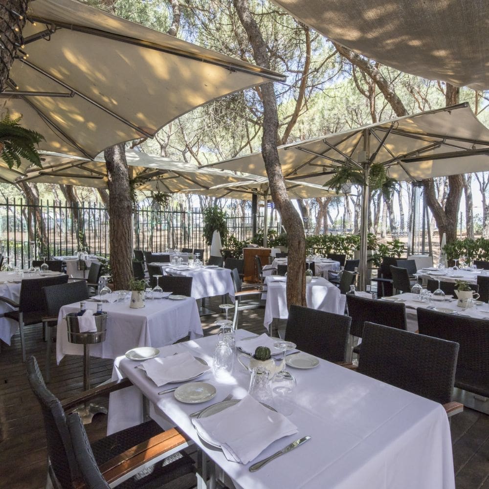 El Barril de La Moraleja- La moraleja – milla de oro – imagen 3