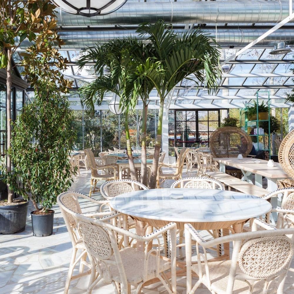 l Invernadero de Los Peñotes – La moraleja – milla de oro – imagen 5