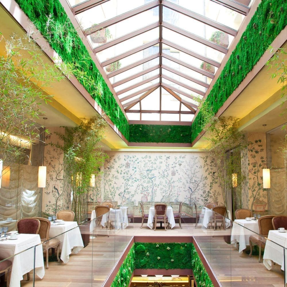 El Invernadero-Restaurantes Barrio Salamanca-Milla de Oro-imagen-1